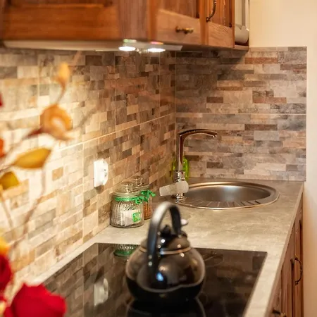 Wystrugane Appartement Bialka Tatrzanska